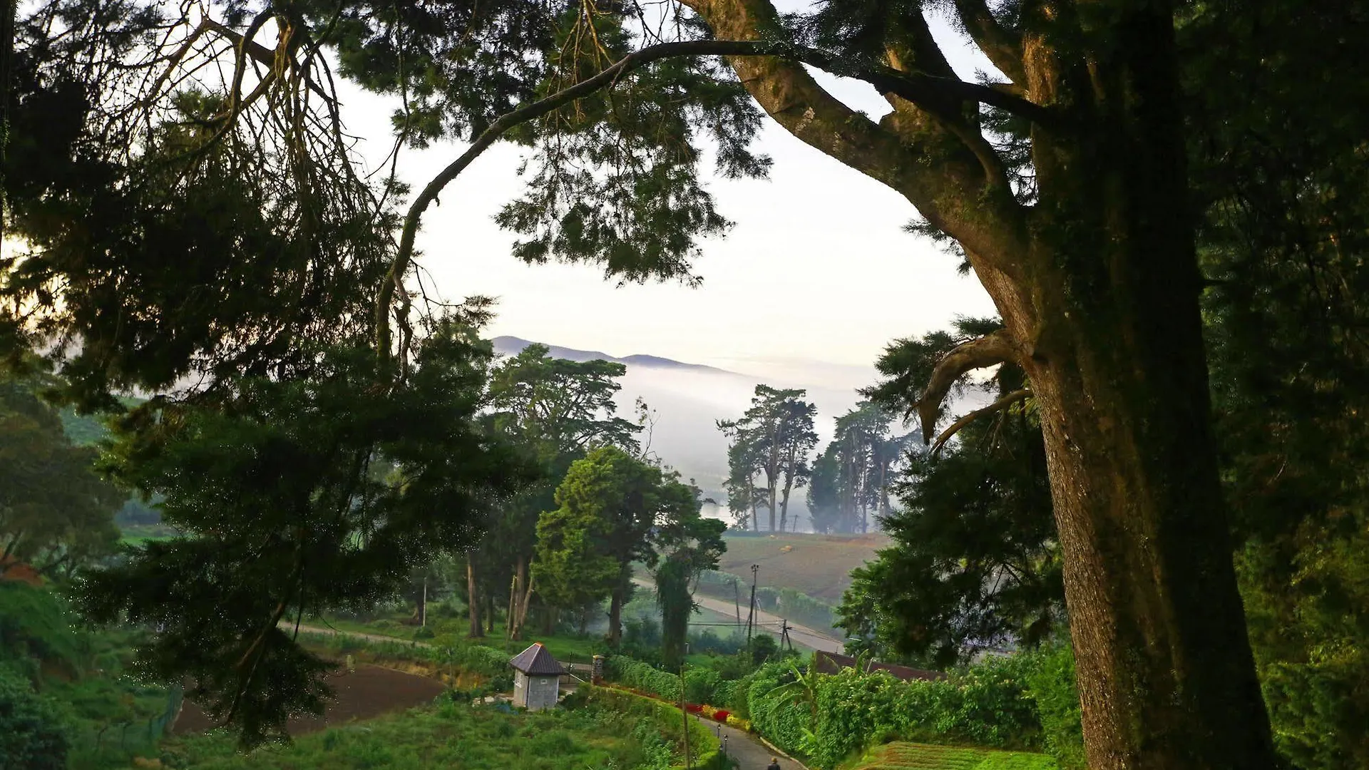 The Firs Villa Nuwara Eliya