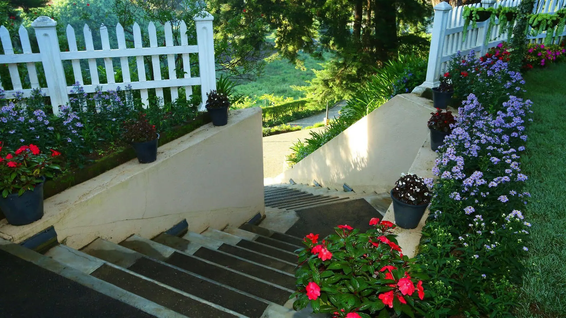 Holiday home The Firs Villa Nuwara Eliya